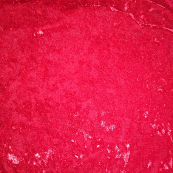 No boundaries Lace Velvet top r - Picture 4 of 4